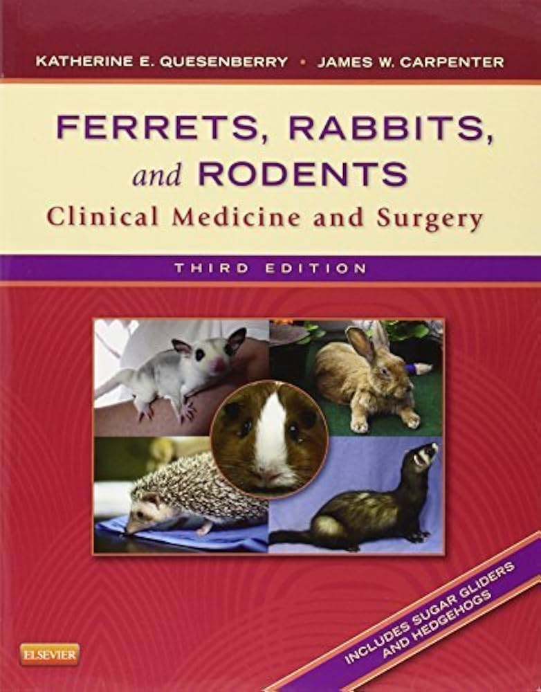 Ferrets, Rabbits, and Rodents: Clinical Medicine and Surgery