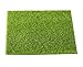 Produktbild Niyatree 1 Stück 30 * 30cm Kunstgras Kunstmoos Kunstrasen DIY Mikro Landschaft Miniatur Dekoration Haus Deko