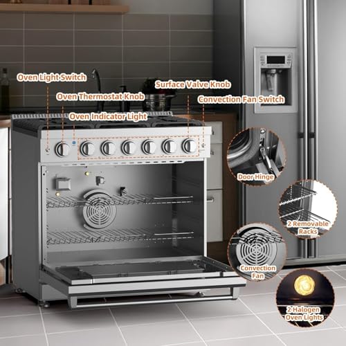 36-Inch Freestanding Gas Range with 6.0 Cu.Ft True Convection Oven - 6 Sealed Burners, Heavy-Duty Cast Iron Grates, Easy Reach Racks, Storage Drawer, In Stainless Steel, Silver