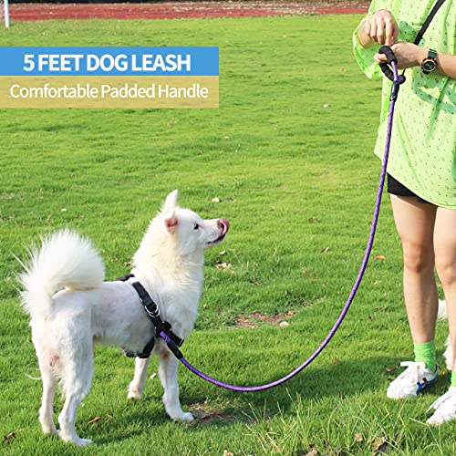BAAPET 2/4/5/6 FT Dog Leash with Comfortable Padded Handle and Highly Reflective Threads for Small Medium and Large Dogs (5FT-1/2'', Purple) - Image 6