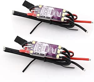 Amazon.com: SoloGood 2PCS FLYCOLOR Francy 2 50A Brushless ESC Speed ...
