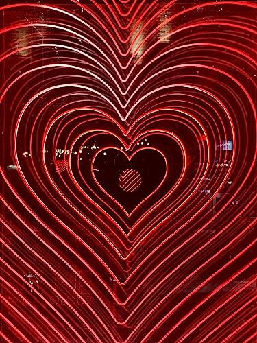 The Journey Within Titelbild