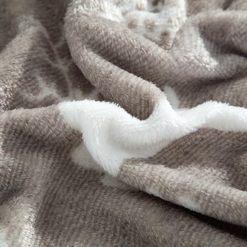 Elegant Comfort Luxuriously Soft 4-Piece Holiday Velvet Plush Flannel Sheet Set - Premium Quality - Cozy Warm, Christmas Fuzzy Velvet Flannel Fleece Deep Pocket Sheet Set - Twin, Silver Reindeer