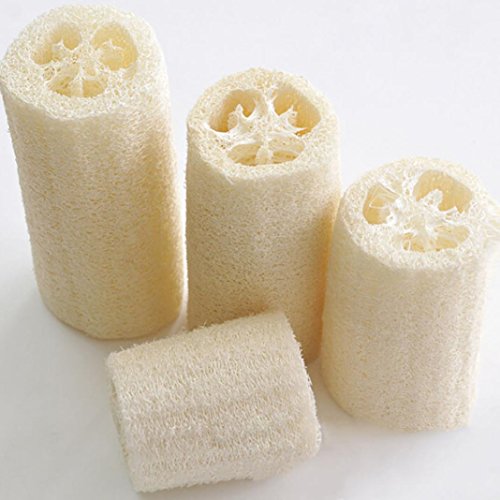 6 Stks Natuurlijke Loofah Luffa Bad Lichaam Douche Loofa Spons Keuken Schotel Spons Scrubbers Cleaing Borstel Schrobben… - Image 4