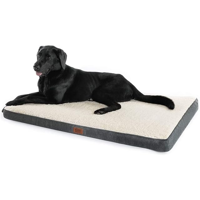 GNCPets Cama Perro Ortopédica Grande - Gris y Blanca