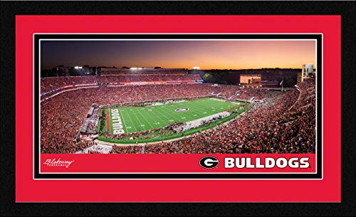 Georgia Football - 20.375 x 12.3/8-inch Framed Picture with Mat