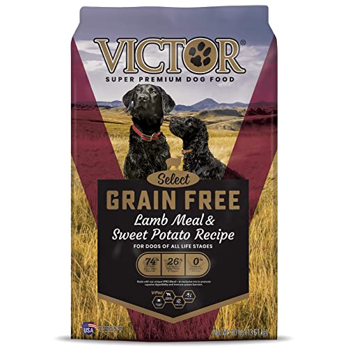 Unleash Your Dog's Inner Athlete with Victor High Protein Dog Food Top