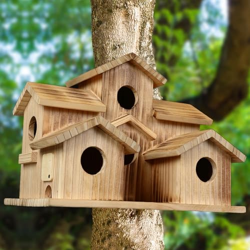 Bird Houses for Outside, 5 Hole Birdhouse Room for 5 Bird Families Bird House for Garden/Courtyard/Backyard Decor Finch Bluebird Cardinals Handmade Hummingbird House