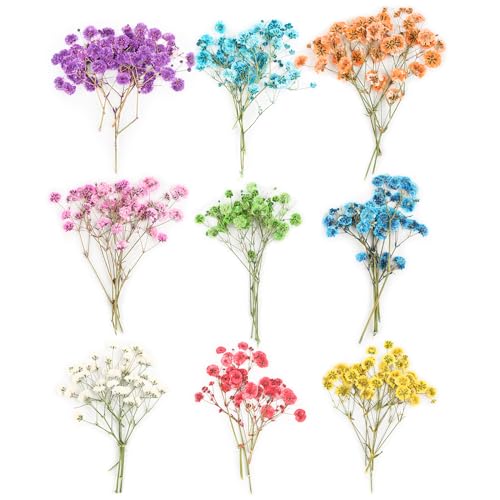 Juego de 45 flores secas naturales para artesanías Gypsophila para velas, joyas de resina, colgantes para uñas, decoración artesanal