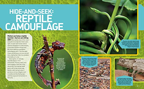National Geographic Kids Ultimate Reptileopedia: The Most Complete Reptile Reference Ever (NGK Ultimate Pedias)