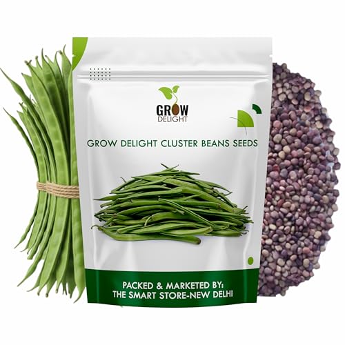 Image of Cluster Beans (Gawar) (100 Seeds) Vegetable Seeds for Home Garden, Organic & Hybrid, Perfect for Home Gardening, Planting For Pots and Patio