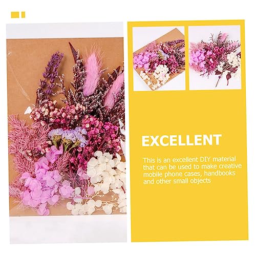 Flores secas prensadas para manualidades 1 bolsa miniatura 7