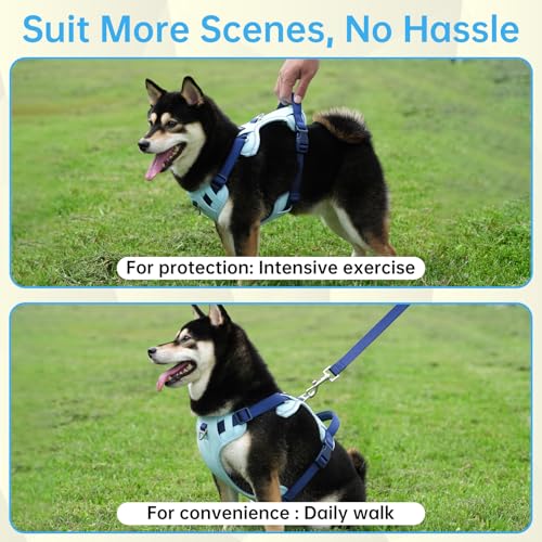 Lulupet No-Pull Dog Harness & Leash Set (Blue, Medium) — view 7