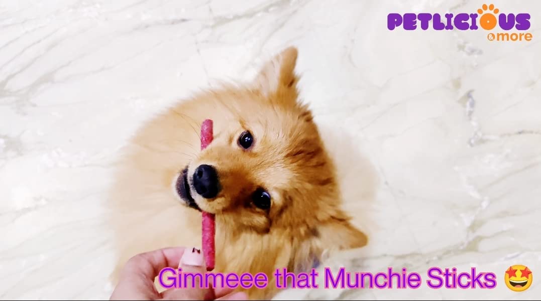 Petlicious & More Animal Feed Supplement Dog Chew Sticks Combo Offer (Chicken Flavor 500 Gm + Mutton Flavor 500 Gm) 1