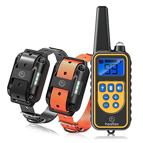 Best Electronic Dog Training Collars Reviews and Buying Guide BNB