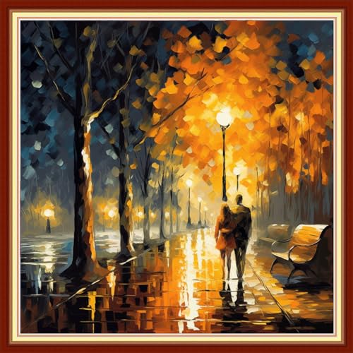 Image of Foxdiviy Stamped Cross Stitch Kits Full Range of Embroidery Needlework Starter Kits for Beginners Adults 11CT Embroidery Patterns Art Crafts DIY Needlepoint Kits-Strolling on a Rainy Night 18x18 inch