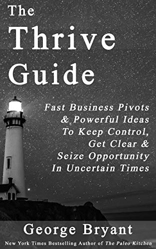 The Thrive Guide: Fast Business Pivots & Powerful Ideas To Keep Control, Get Clear And Seize Opportu PDF