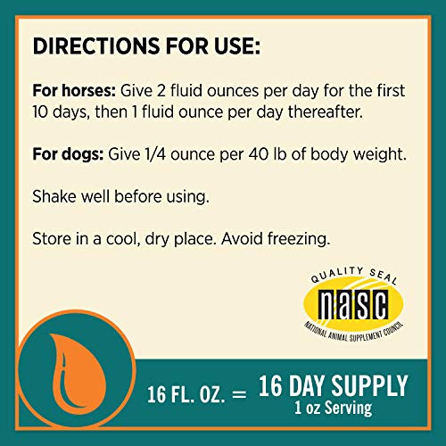 Farnam Next Level Joint Fluid Supplement For Horses And Dogs, Helps Maintain Connective Tissue To Ease Joint Stiffness Due To Daily Activity, 16 Ounces, 16 Day Supply #TOP1