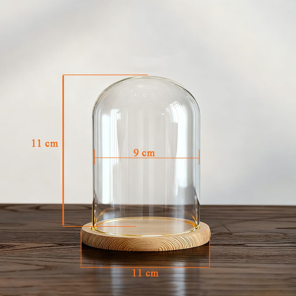 Amazon.com: DuvinDD Glass Dome Cloche with LED Light Base, Bell