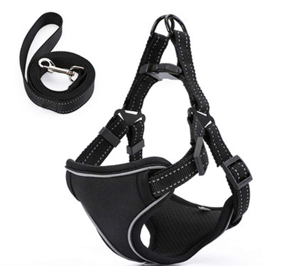 Laisse pour chien moyen et grand bouledogue husky m l