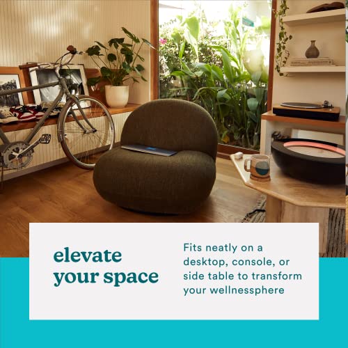 homedics drift sandscape perpetual motion machine zen garden meditation accessories decorative sandscape bluetooth ios android by homedics 16 inch medium black