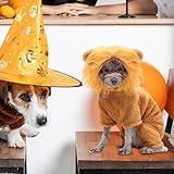 Zoom IMG-2 felpa con cappuccio leone per Zoom IMG-2 felpa con cappuccio leone per