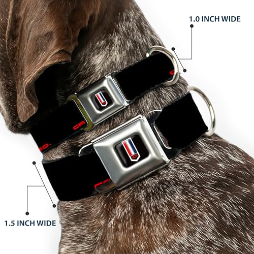 Collier pour chien Camaro Buckle Down ajustable sûr et confortable - 3