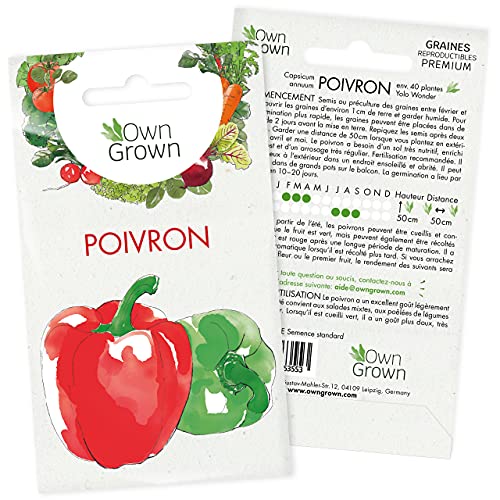 Graines de poivrons (Capsicum annuum): Graine de poivron variété Yolo Wonder à semer dans le jardin et sur le balcon - Kit d'environ 50 semis de poivron à planter de qualité supérieure OwnGrown Cover