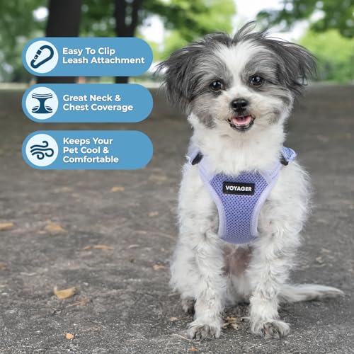 Best Pet Supplies Voyager verstellbares Hundegeschirr, atmungsaktiv, kein Ziehen, Geschirr für kleine, mittelgroße und große Hunde, strapazierfähiges Geschirr, einfacher Einstieg in reflektierende