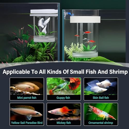 Image of Floating & Mountable Breeding Box - Safe Fry Nursery, Fish Isolation Tank (3.38 inchx3.38 inchx5.4 inch) (1 Set)