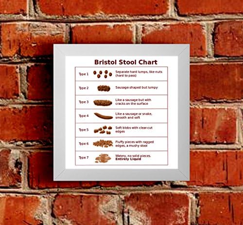 The Victorian Printing Co - Bristol Stool Chart - Framed Picture, White
