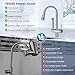 FEELSO Kitchen Faucets with Filtered, Stainless Steel Filter Kitchen Faucet with Pull Down Sprayer Reduces Lead, Chlorine, Bad Taste & Odor,High Arc Kitchen Sink Faucet 1 or 3 Hole for Farmhouse