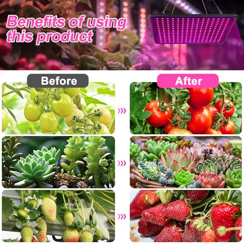 1000W LED Grow Lampe, 2x2ft wasserdichtes sonnenähnliches Vollspektrum Pflanzenlampe LED,Pflanenlicht für Hydroponic, Indoor Seeding Veg Flower, Grow Tent und Greenhouse Led Pflanzenlampe 2 1000W LED Grow Lampe, 2x2ft wasserdichtes sonnenähnliches Vollspektrum Pflanzenlampe LED,Pflanenlicht für Hydroponic, Indoor Seeding Veg Flower, Grow Tent und Greenhouse Led Pflanzenlampe – Bild 2