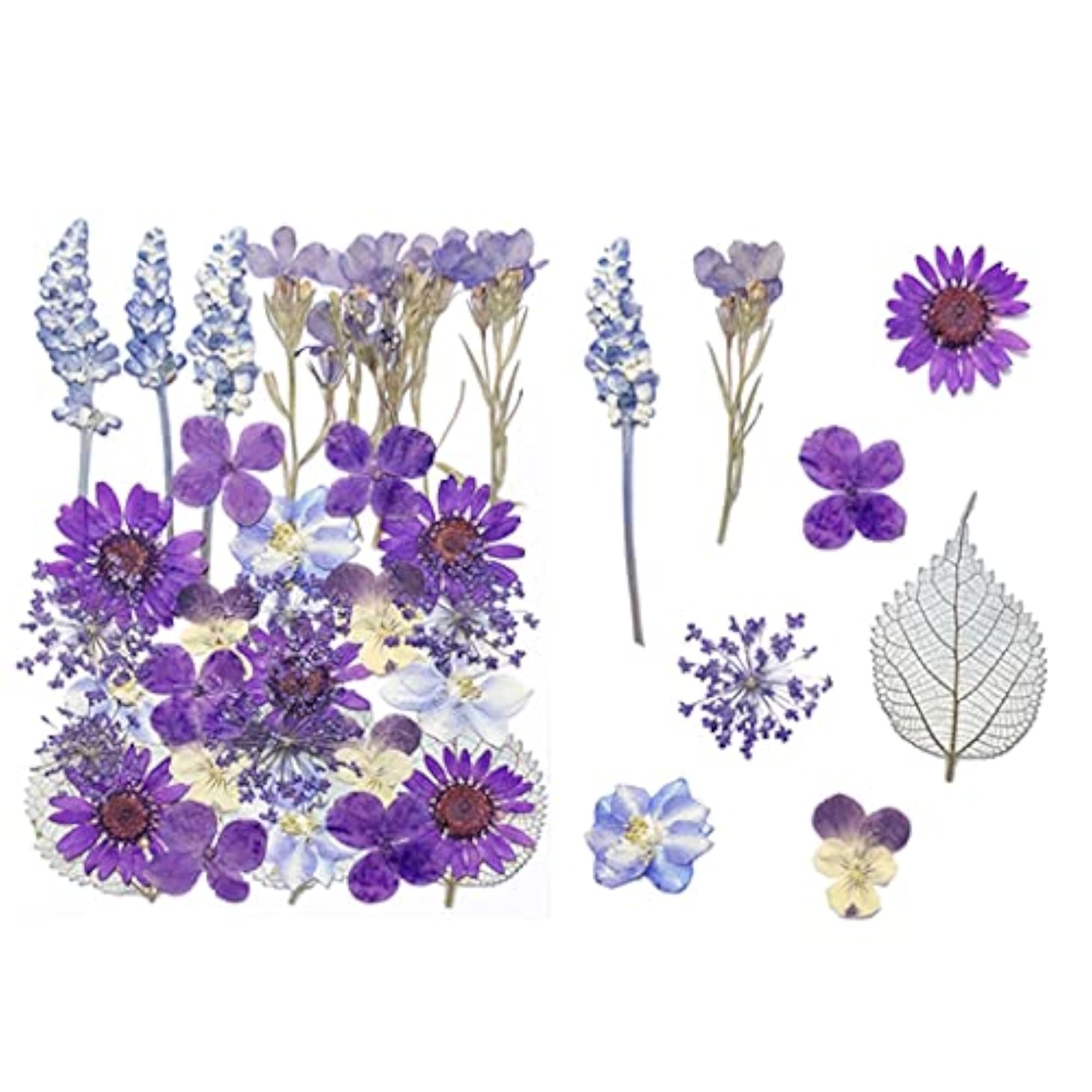Real Dried Flower Kit for DIY Crafting