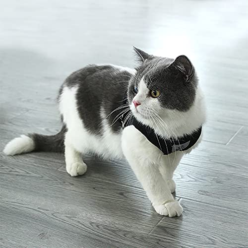 Siudaro Cat Harness and Leash for Walking Escape Proof - Adjustable Cat Vest Harness Small Dog Harness Soft Mesh Puppy… - Image 6