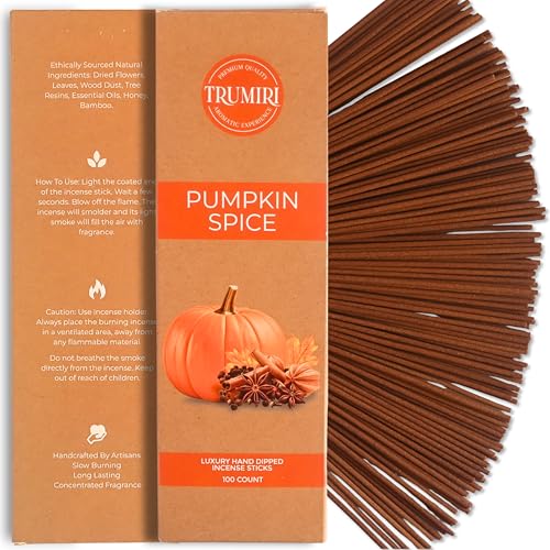 Pumpkin Spice Incense Sticks - Pack of 100 Inscents-Sticks - Inciensos Aromaticos Made with Natural Spices - Scented Insence Non Toxic Insense Incents