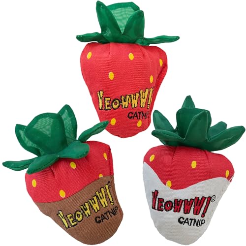 Fresas en paquete de 3 unidades Guau para repostería y postres caseros 3