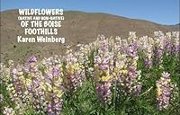 Wildflowers (Native and Non-Native) of the Boise Foothills 1936408236 Book Cover