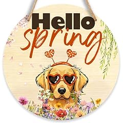 Hello Spring-Golden Retriever