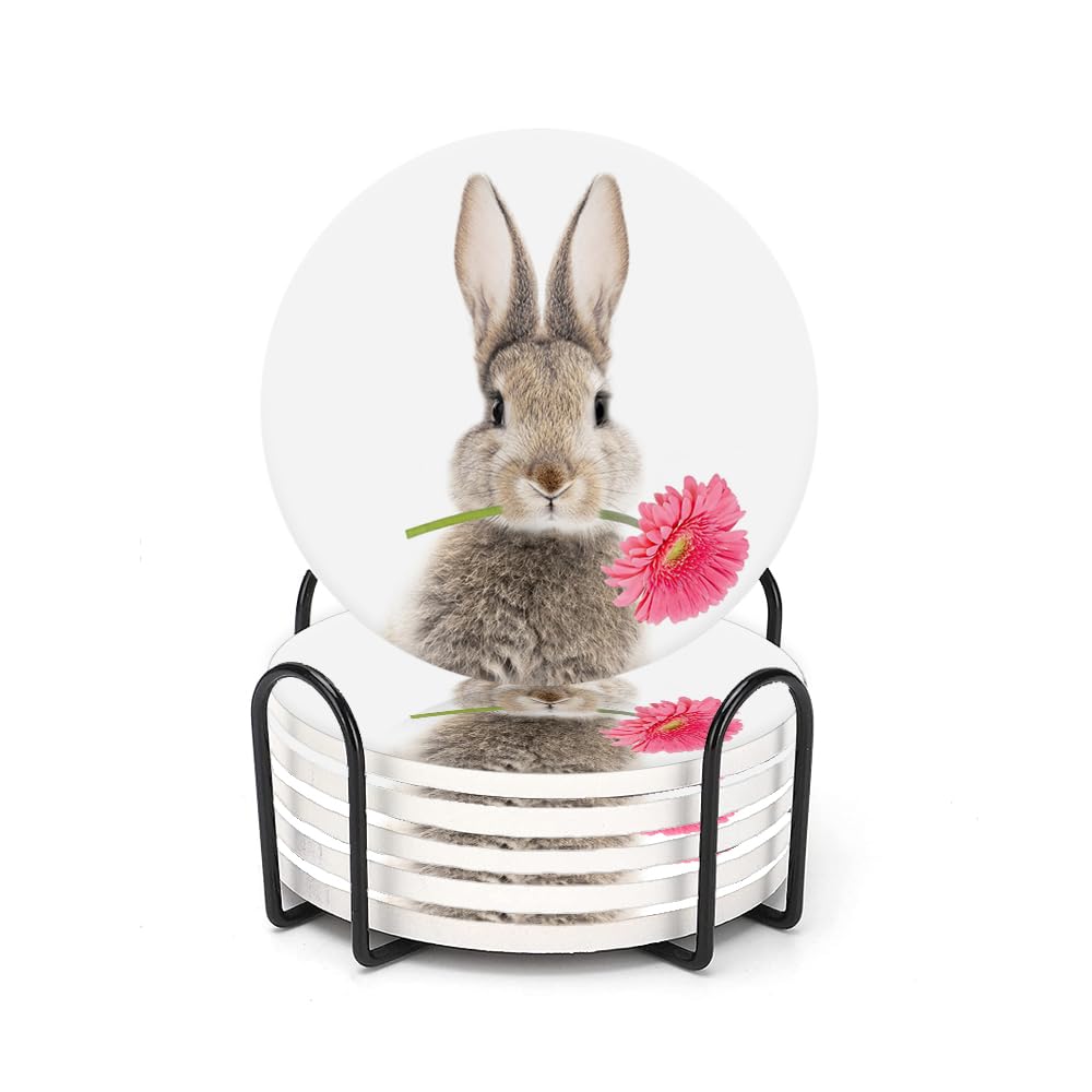 Drink Coasters for Drinks Set of 6, Easter Cute Bunny with Daisy Absorbent Round Ceramic Stone Mat Coaster, with Cork Base and Metal Holder, Home Bar Decor House Warming Gift