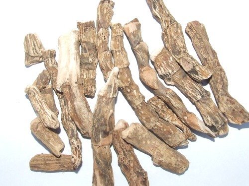 NPRC Organic Acorus Calamus Sweet Flag Dried Rhizome cuttings 100 GMS-image-6