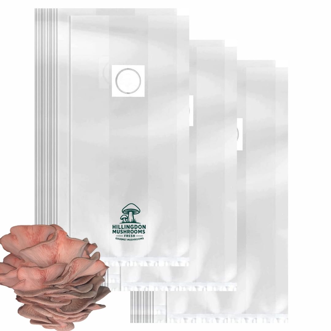Hillingdon Mushrooms XLS Extra Large Mushroom Grow Bags 39×60cm, Premium Autoclavable Spawn bag with 0.2 Micron Filter Patch