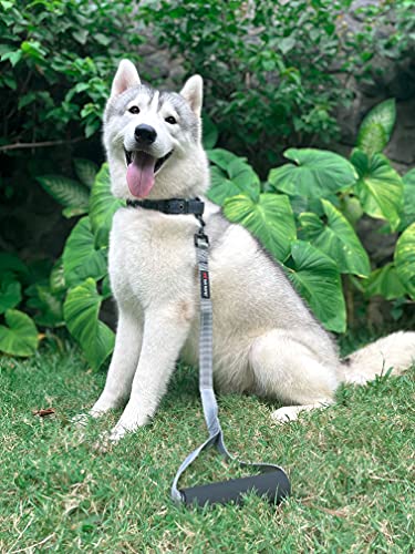 Tuff Pupper Service Dog Leash With Handle For Large Dogs | 24 Inch | Perfect For Services Dog Harness & Large Dog Training Leash | Traffic Leash Handle W/Padding | Short Leash Dog Coupler #TOP6