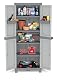 Kunststoffschrank Kreher XL Domino Wave – Universalschrank mit Riegel-Mechanismus