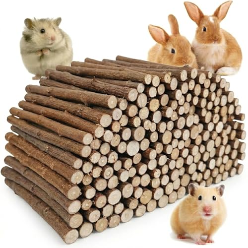 Jorewood 1 LB (16oz) Natural Apple Wood Chew Sticks for Rabbits Hamsters Chinchillas - Extra Hard Teeth Grinding Toy | Untreated Safe & Long-Lasting Rodent Chews
