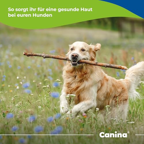 Canina Biotin Forte Pulver, 200 g