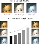 Desk Lamp 3 Color 10 Brightness Reading Light for Night Reading | Small Cute Clip on Light Flexible Neck Light Reading Light for Books in Bed, Bedside, Painting, Craft