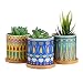 Dsben 3.5 Inch Succulent Plant Pots, Small Mandala Style Flower Ceramic Planter Indoor with Bamboo Tray for Cactus, Herbs, Home, Set of 3