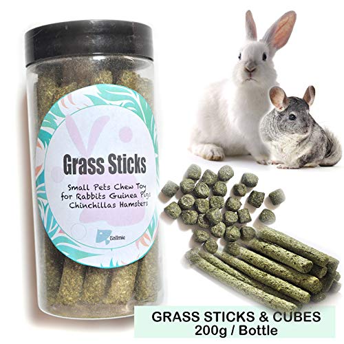 20 Best Rabbit Treats (Review & Guide) in 2020