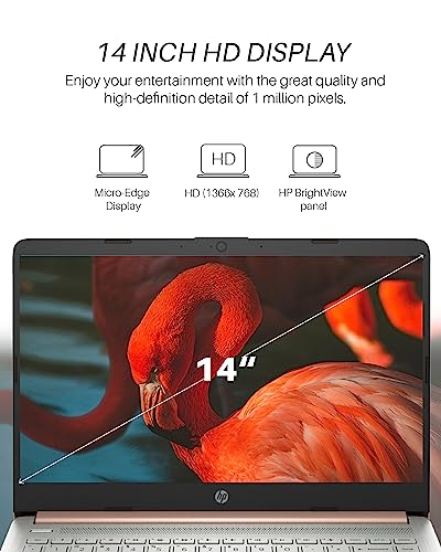 Image of HP 14 inch Laptop for Work & Study, Intel Celeron N4120, 16GB RAM, 384GB Storage(128 GB eMMC + 256 GB MicroSD), Intel UHD Graphics, Lightweight & Portable, Windows 11 Pro & MS Office Lifetime License